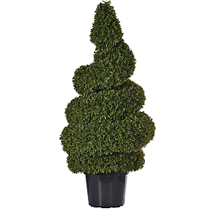 Outdoor Green Spiral Topiary